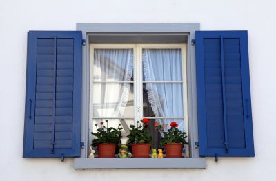Shutters Painting